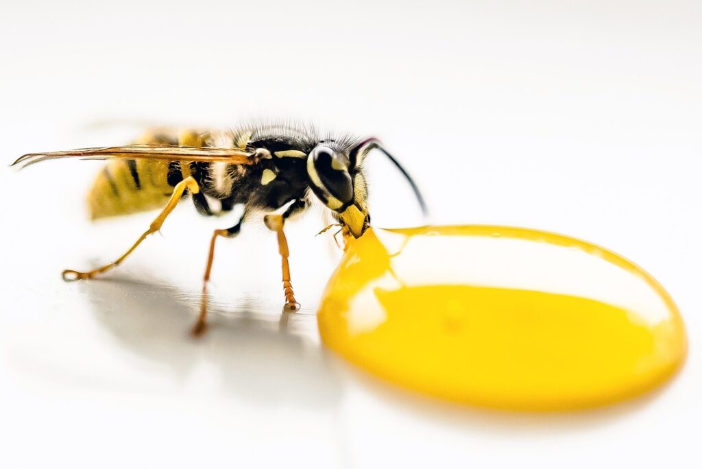 GLP-1注射を使用する際の飲酒に関する注意点は？